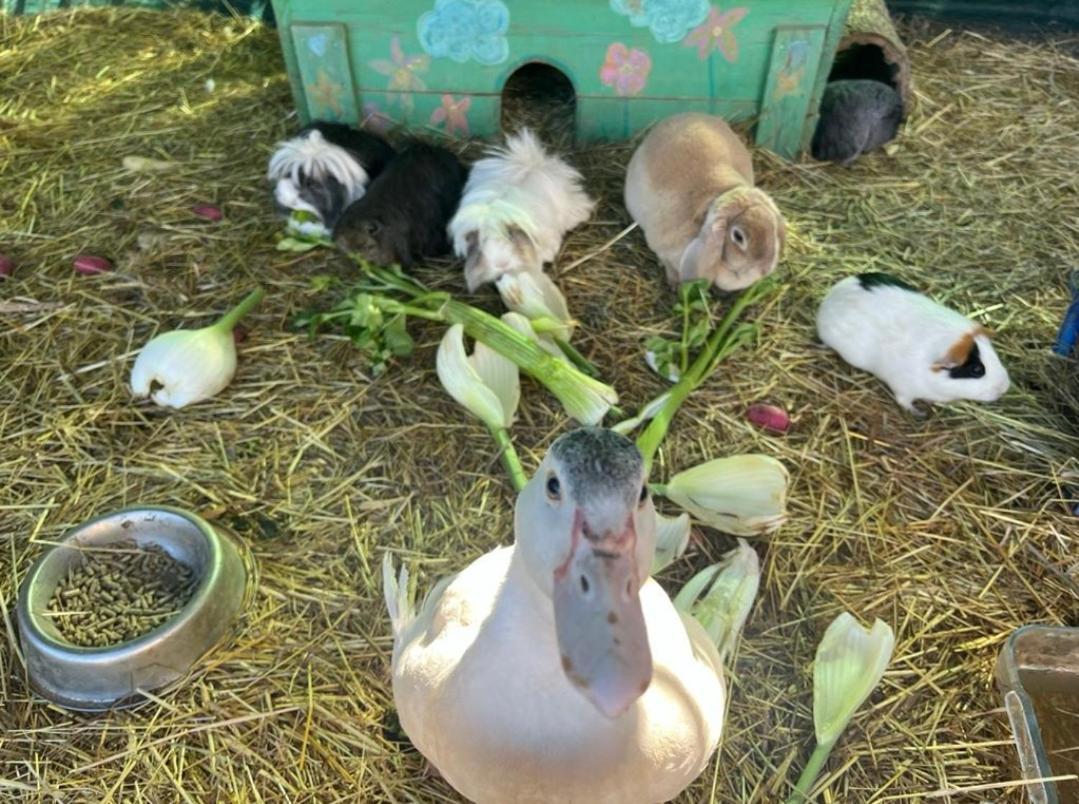 Villa Sejour A La Ferme à Jouques Extérieur photo