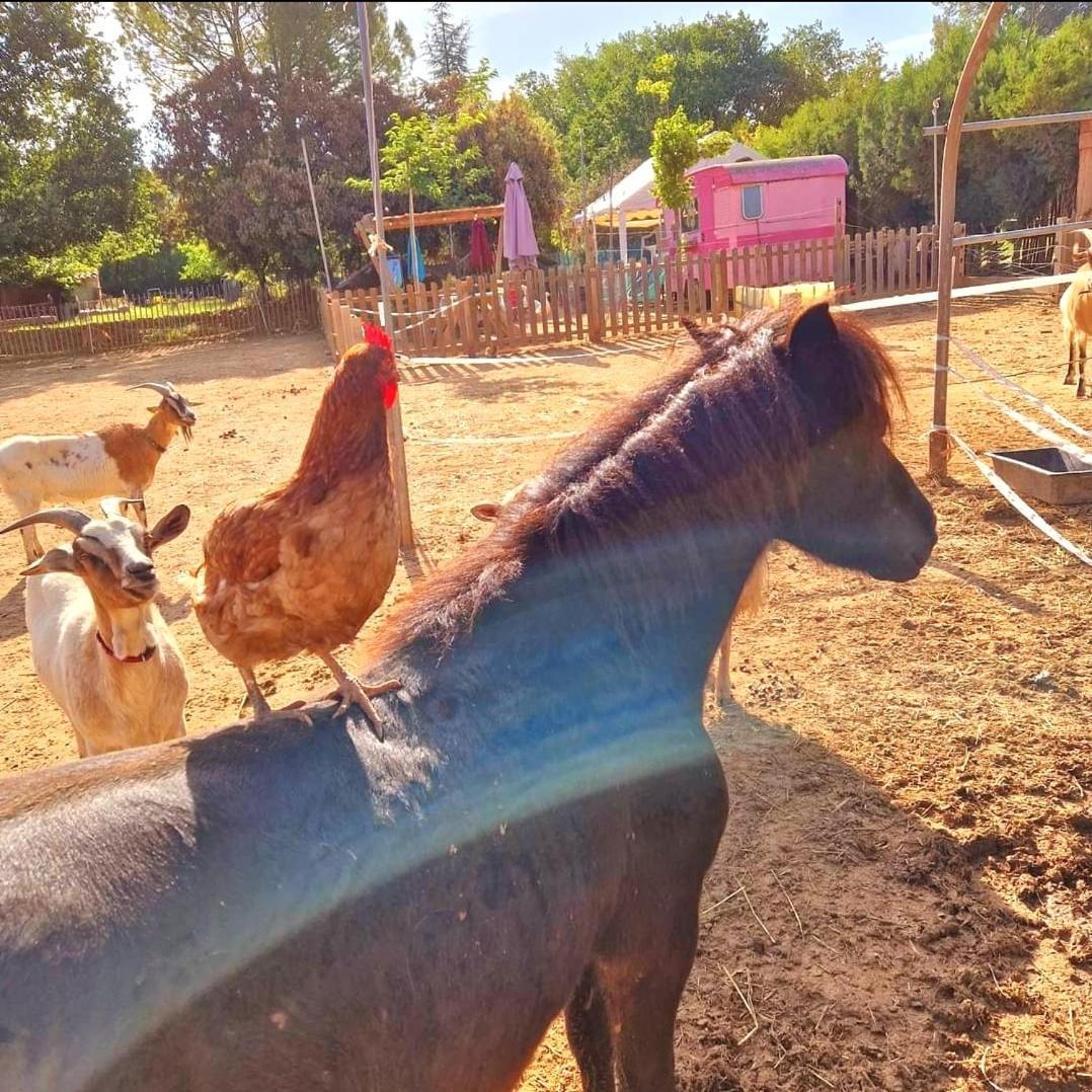 Villa Sejour A La Ferme à Jouques Extérieur photo